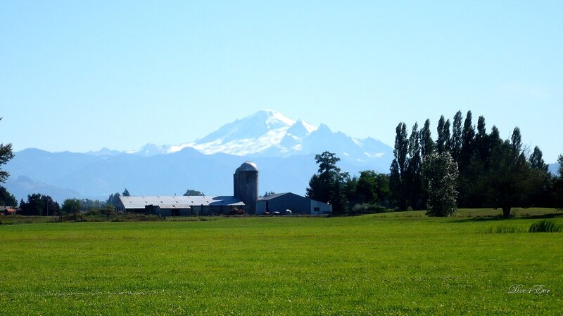 Farm with mountain view