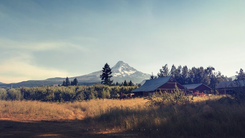Farm with Mountain View — Blue