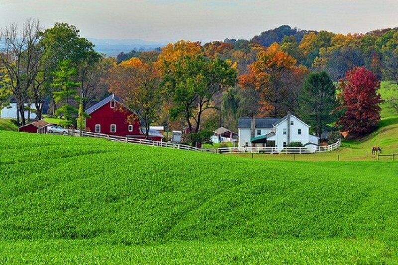 Farm with Red Barn — Green
