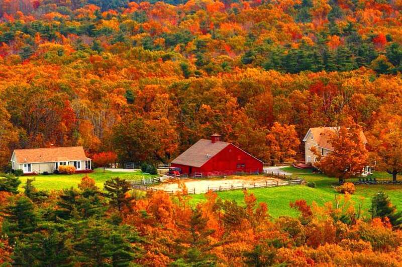 Farm with Red Barn