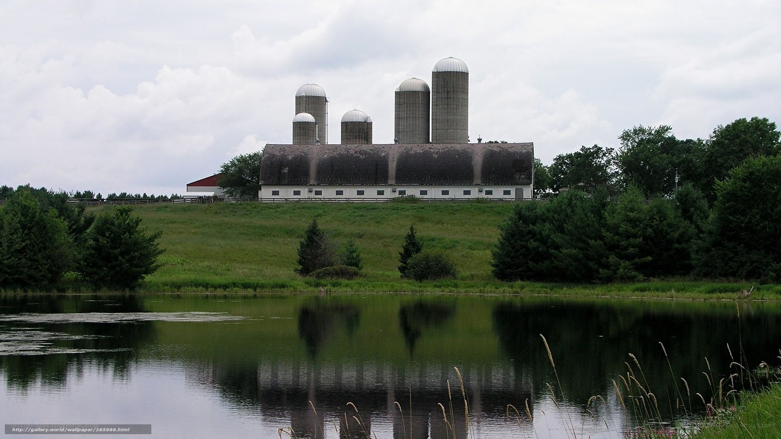 Farm with silos by a pond