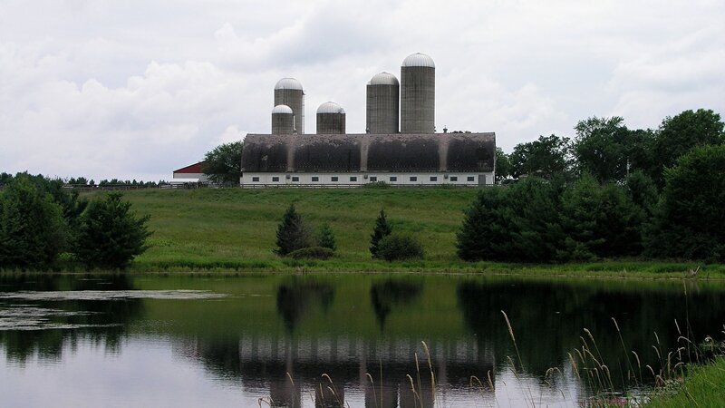 Farm with silos by pond