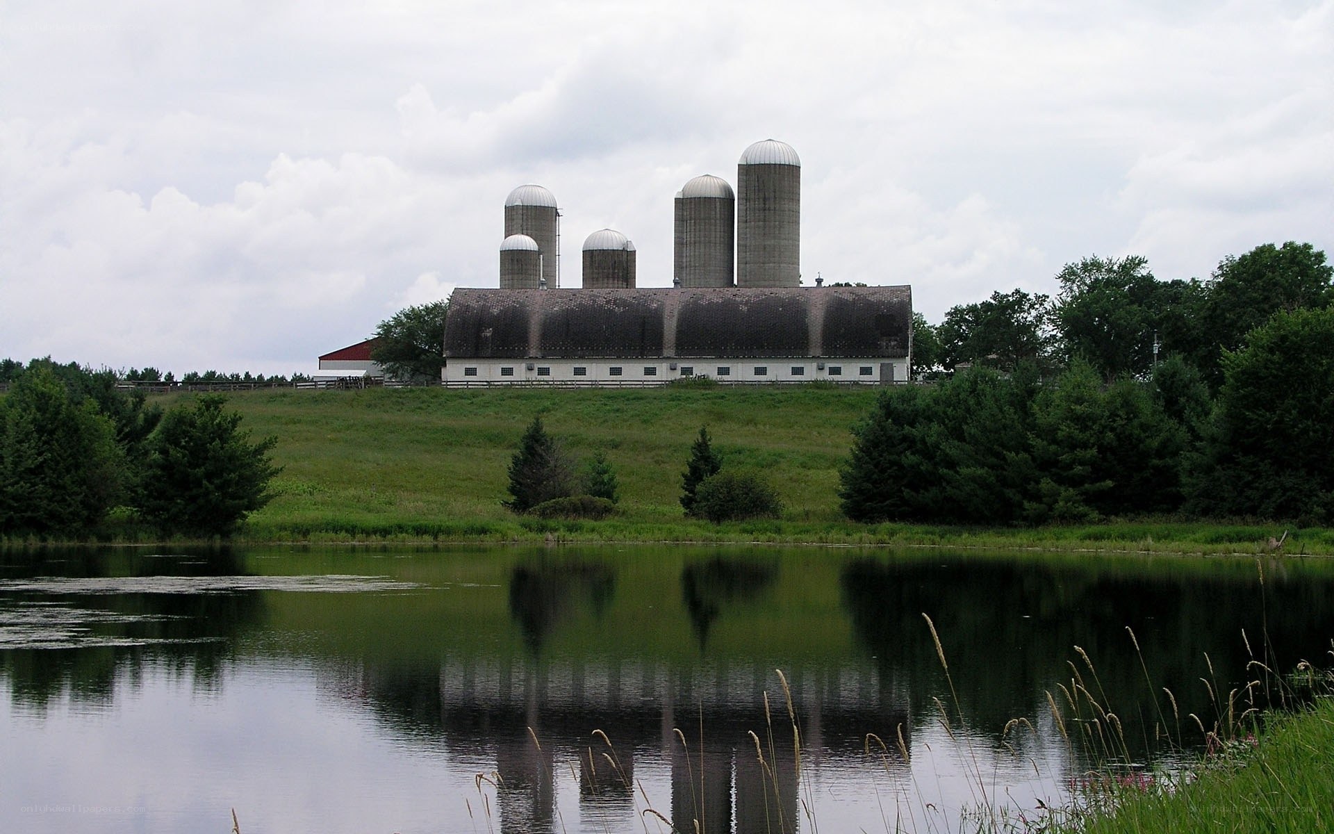 Farm with silos by pond