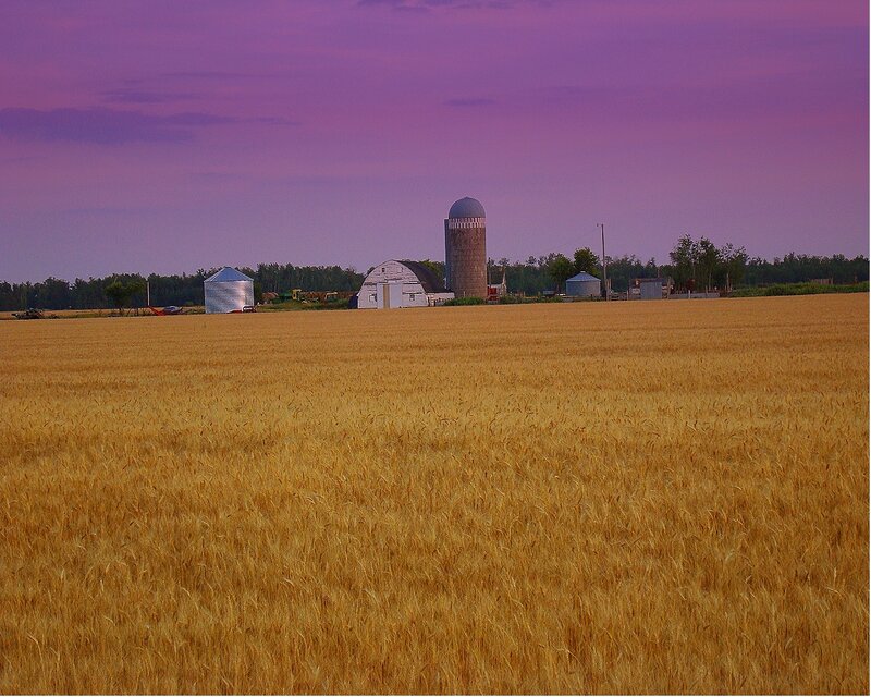 Farm with Silos — Purple