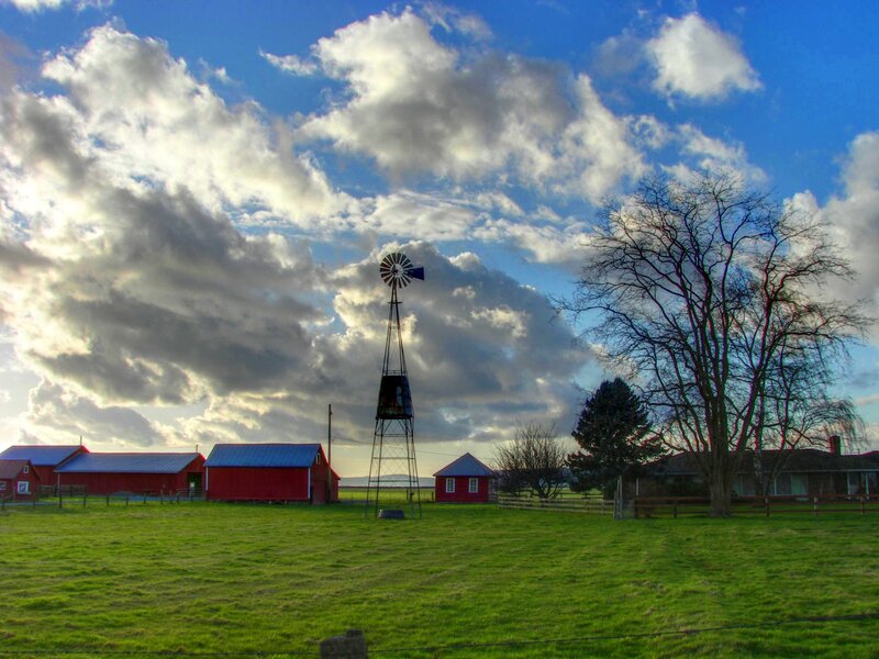 Farm with windmill and red barns