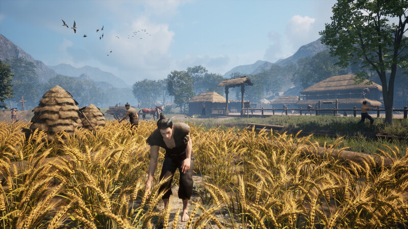 Farmer Harvesting Wheat
