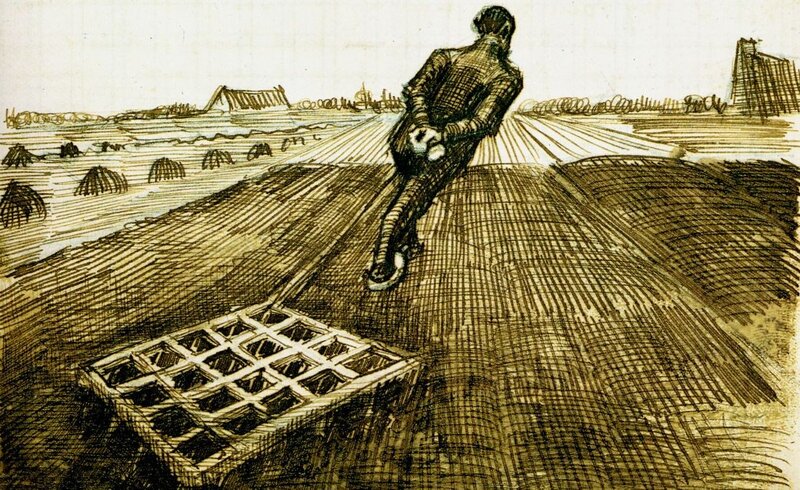 Farmer in a field