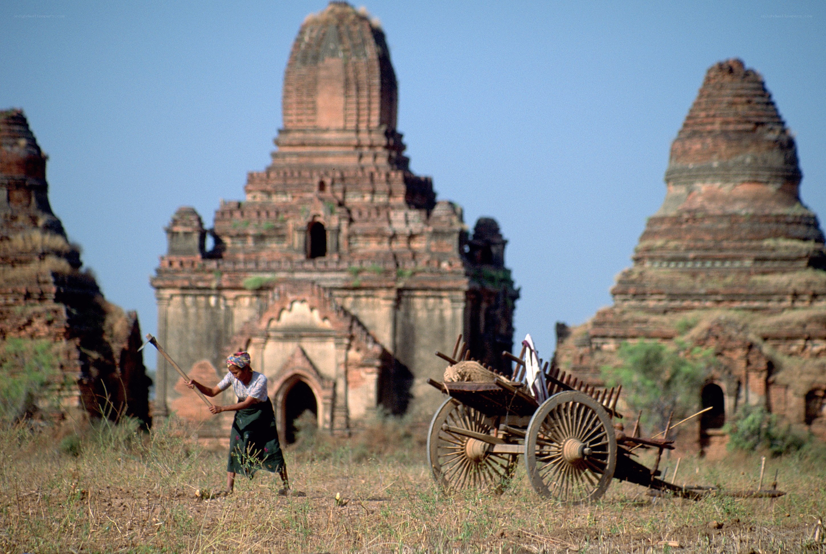 Farmer in Bagan with ancient temples