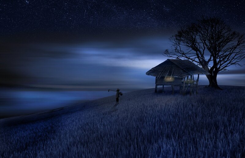 Farmer in Rice Field — Blue