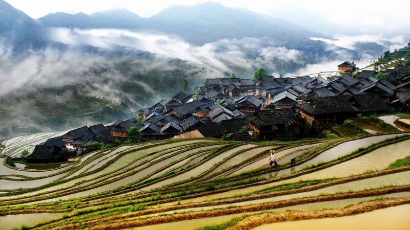 Farmer in Rice Terrace