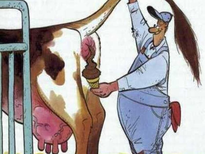 Farmer Milking Cow