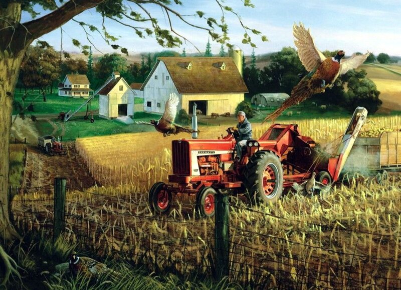 Farmer on Tractor — Red, Peaceful