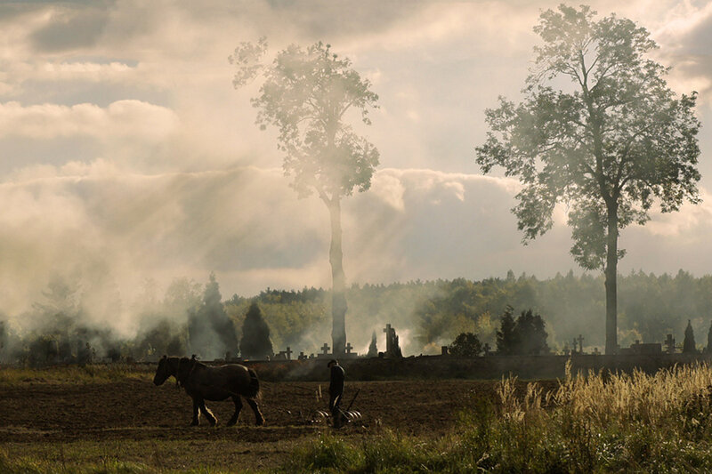Farmer Plowing Field — Brown, Dramatic