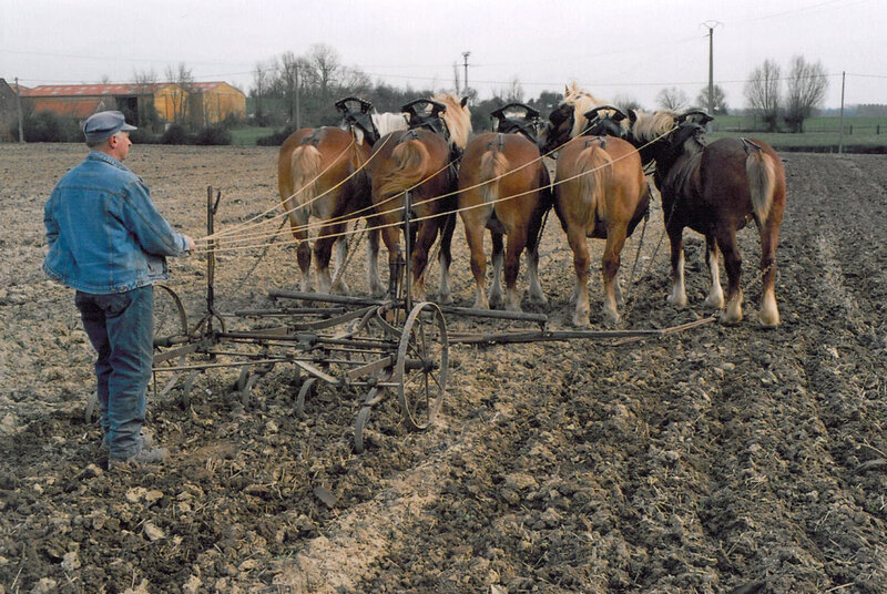 Farmer Plowing Field