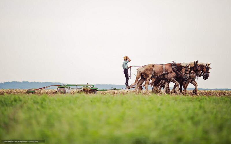 Farmer plowing with horses