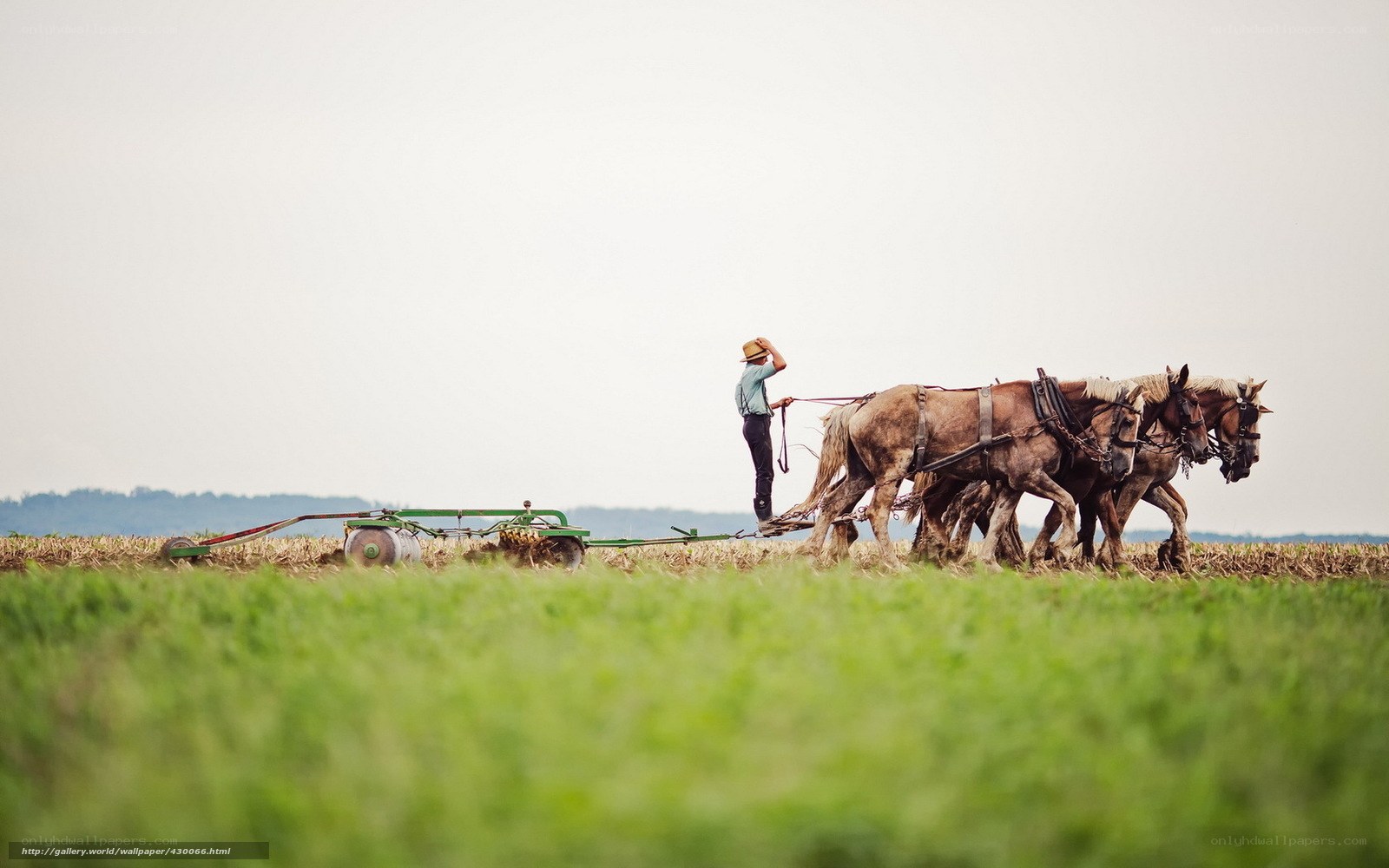Farmer plowing with horses