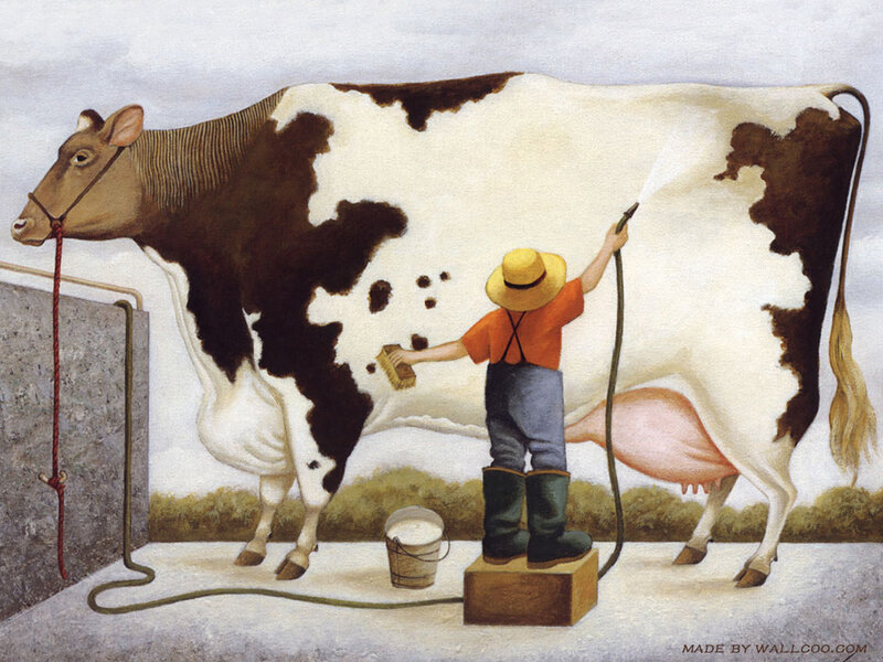 Farmer Washing Cow