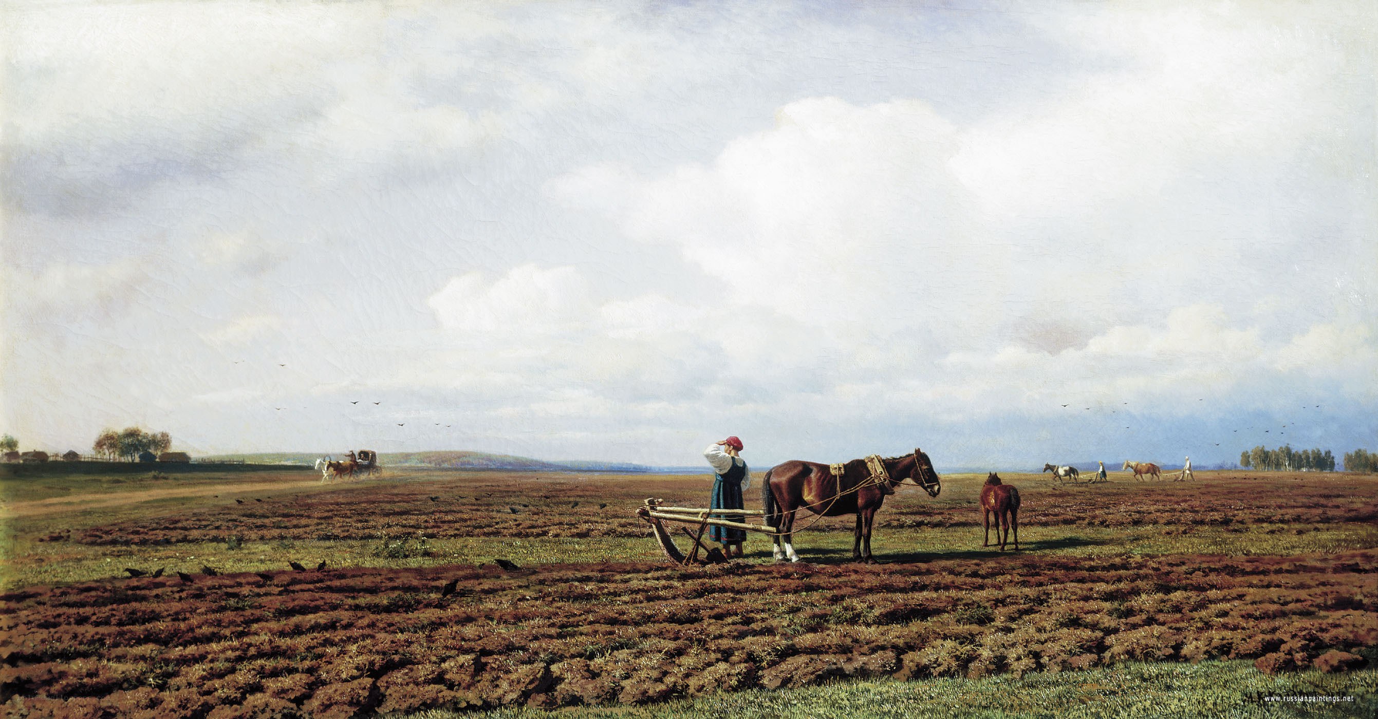 Farmer with horse in field