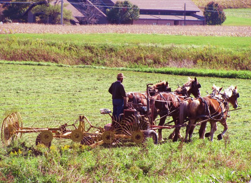 Farmer with Horses — Green