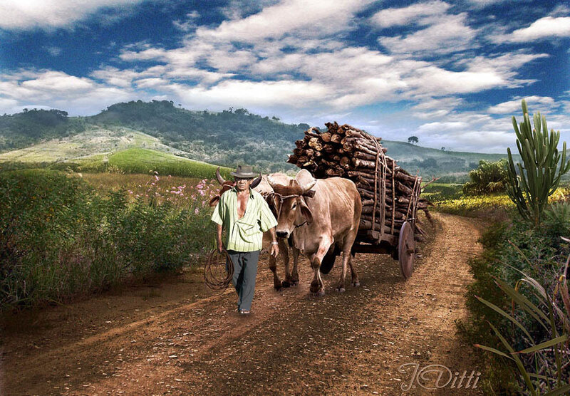 Farmer with Ox Cart