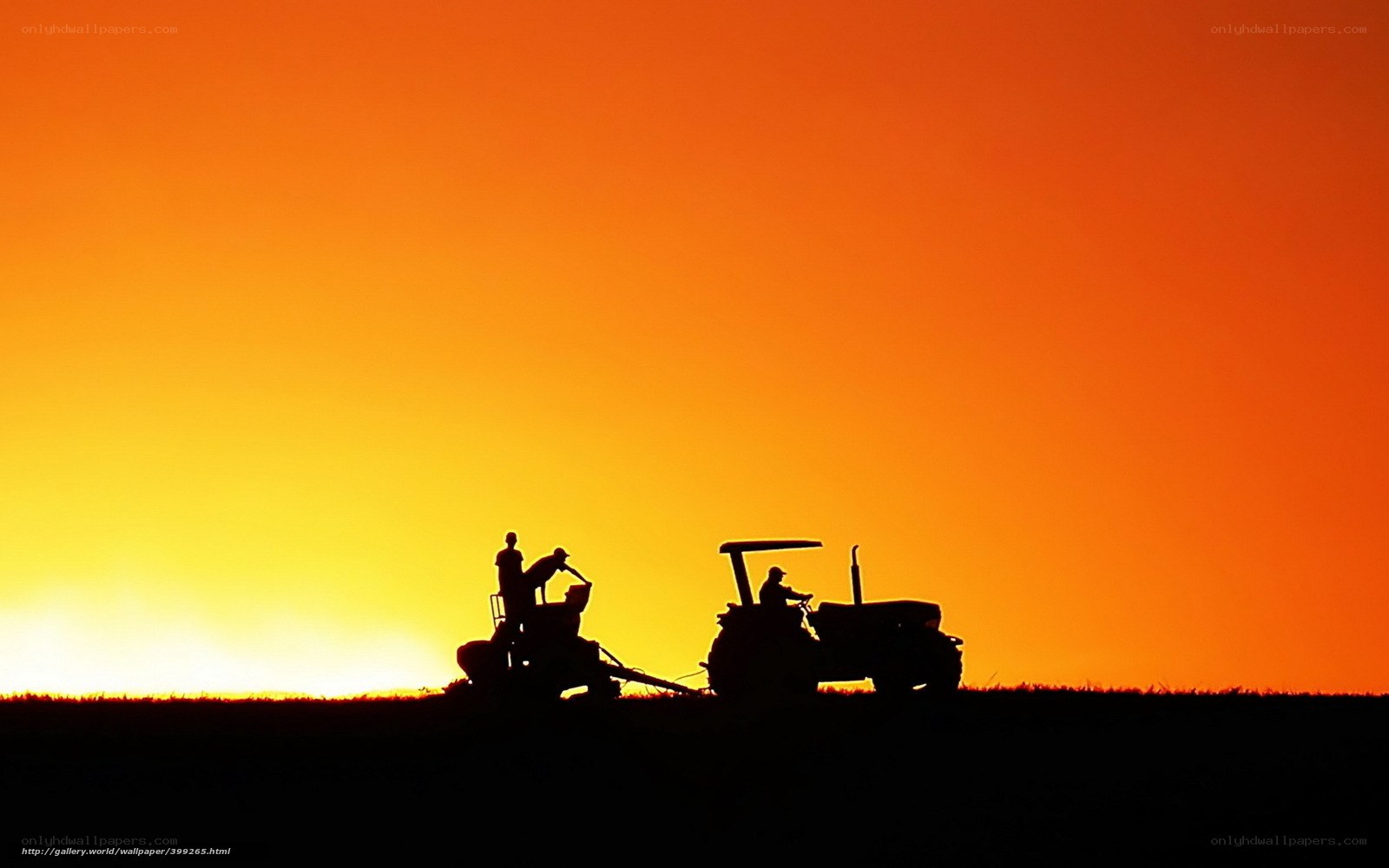 Farmers at sunset silhouette