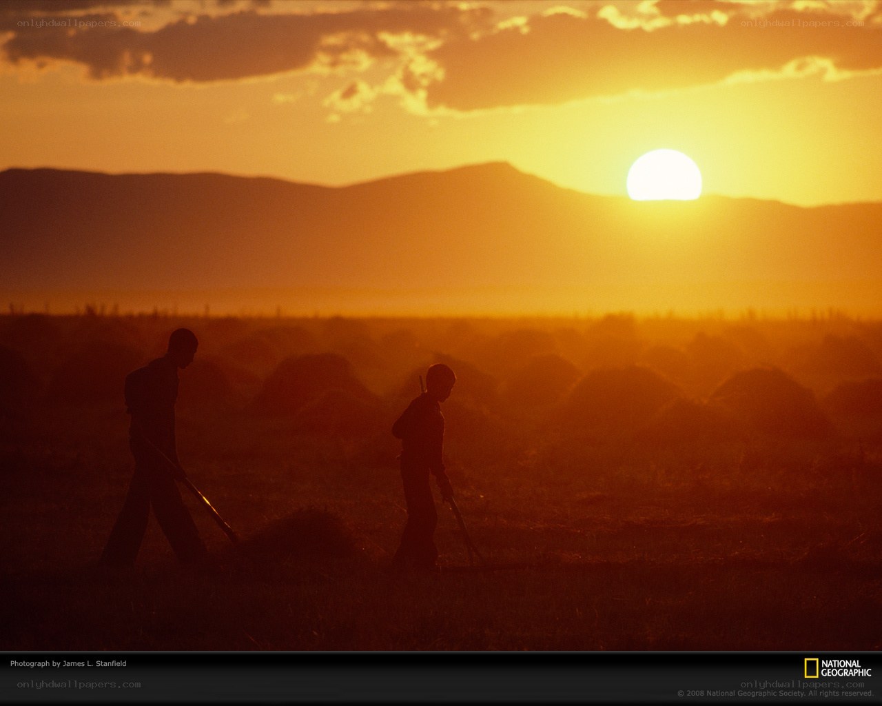 Farmers at sunset