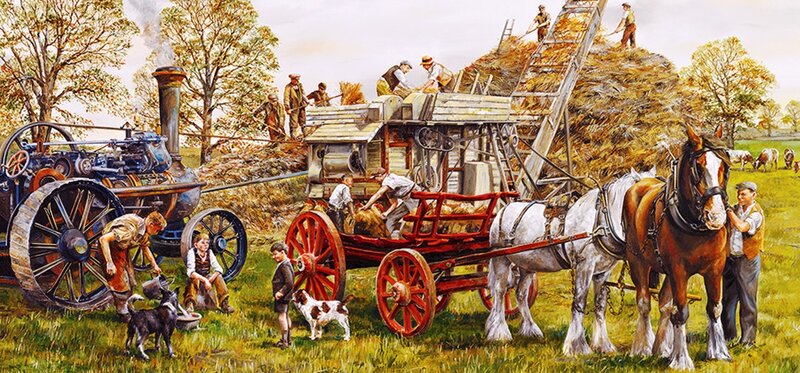Farmers Harvesting Hay — Green, Rural