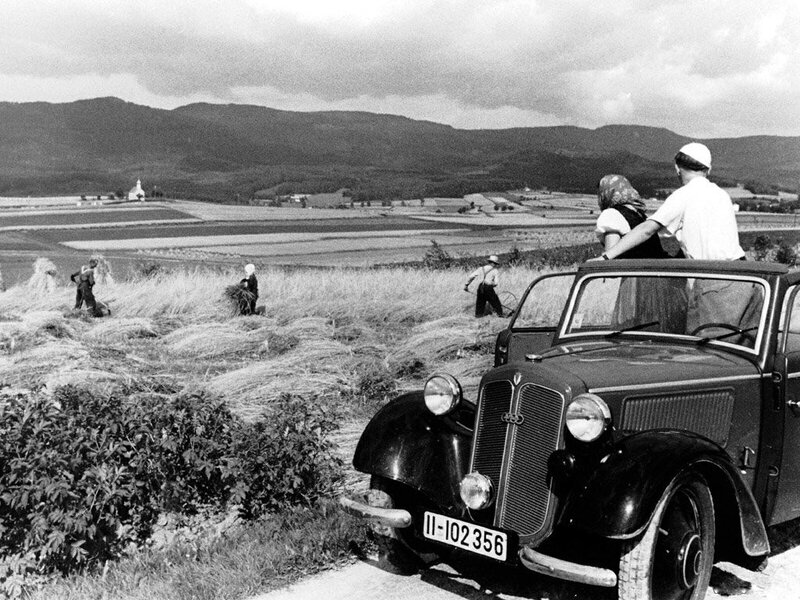 Farmers harvesting in a field
