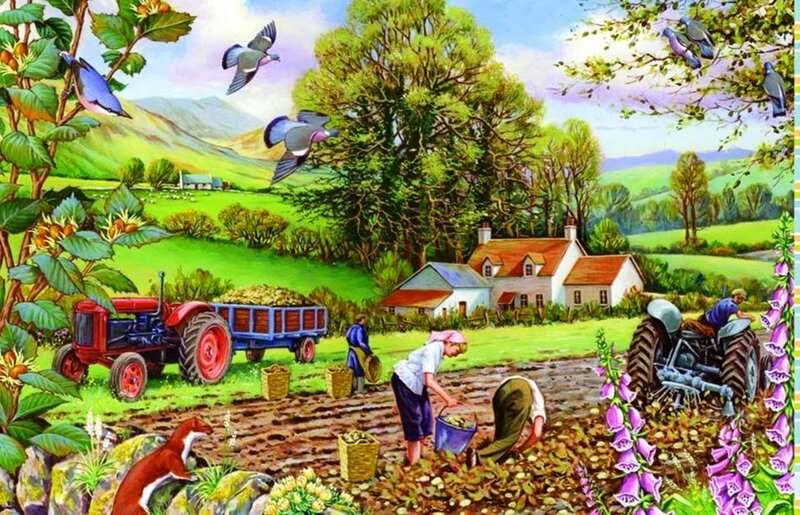 Farmers Harvesting Potatoes — Green