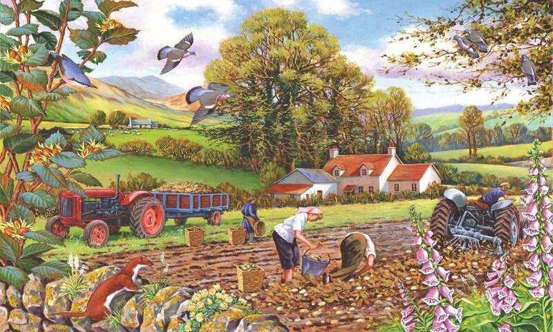 Farmers Harvesting Potatoes