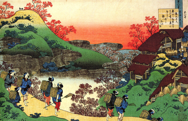 Farmers Harvesting Rice