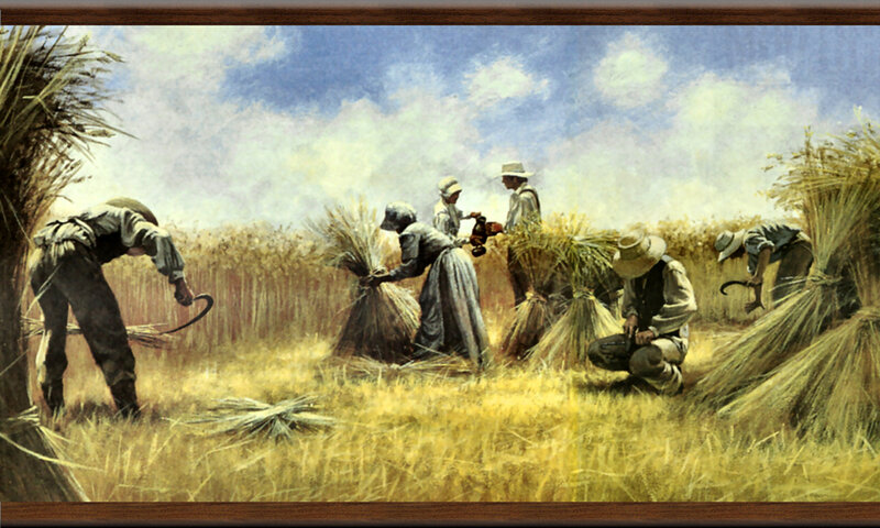 Farmers Harvesting Wheat — Yellow, Dusty
