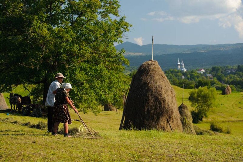 Farmers in a Field