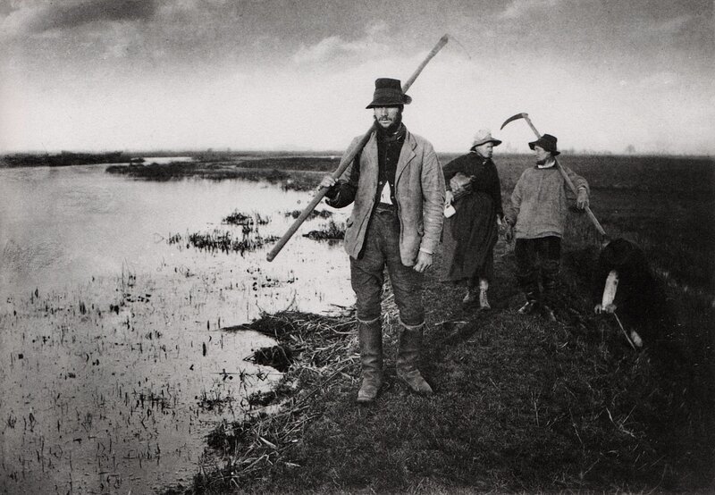 Farmers in a flooded field