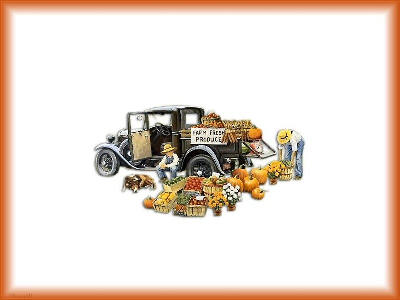Farmers Market Scene