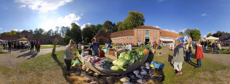 Farmers Market Stall