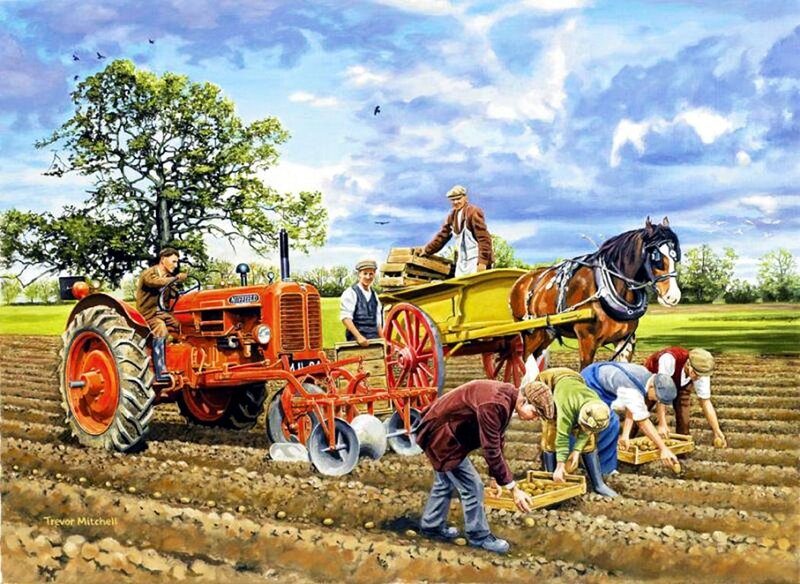 Farmers Planting Potatoes