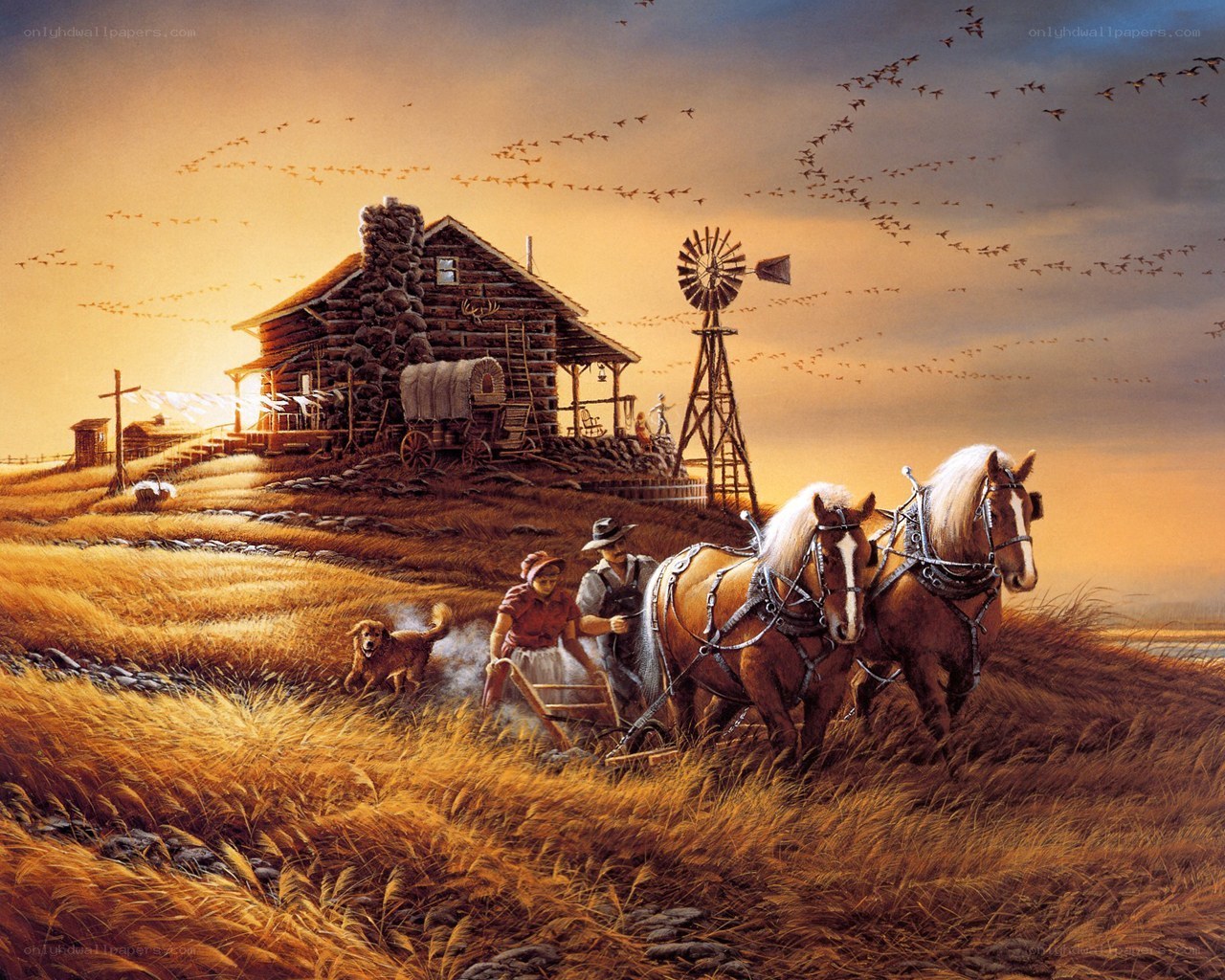 Farmers plowing at sunset