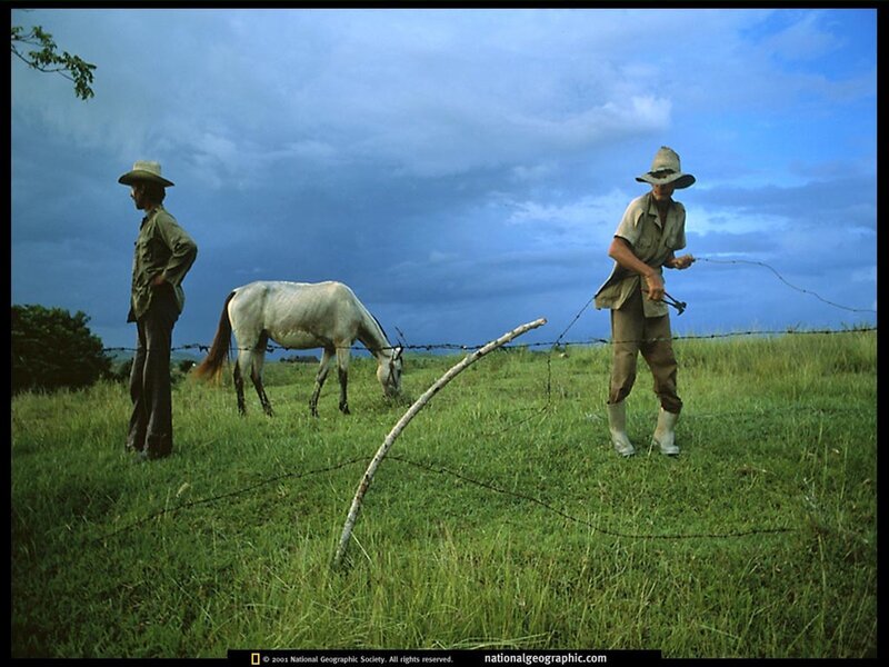 Farmers with horse in field