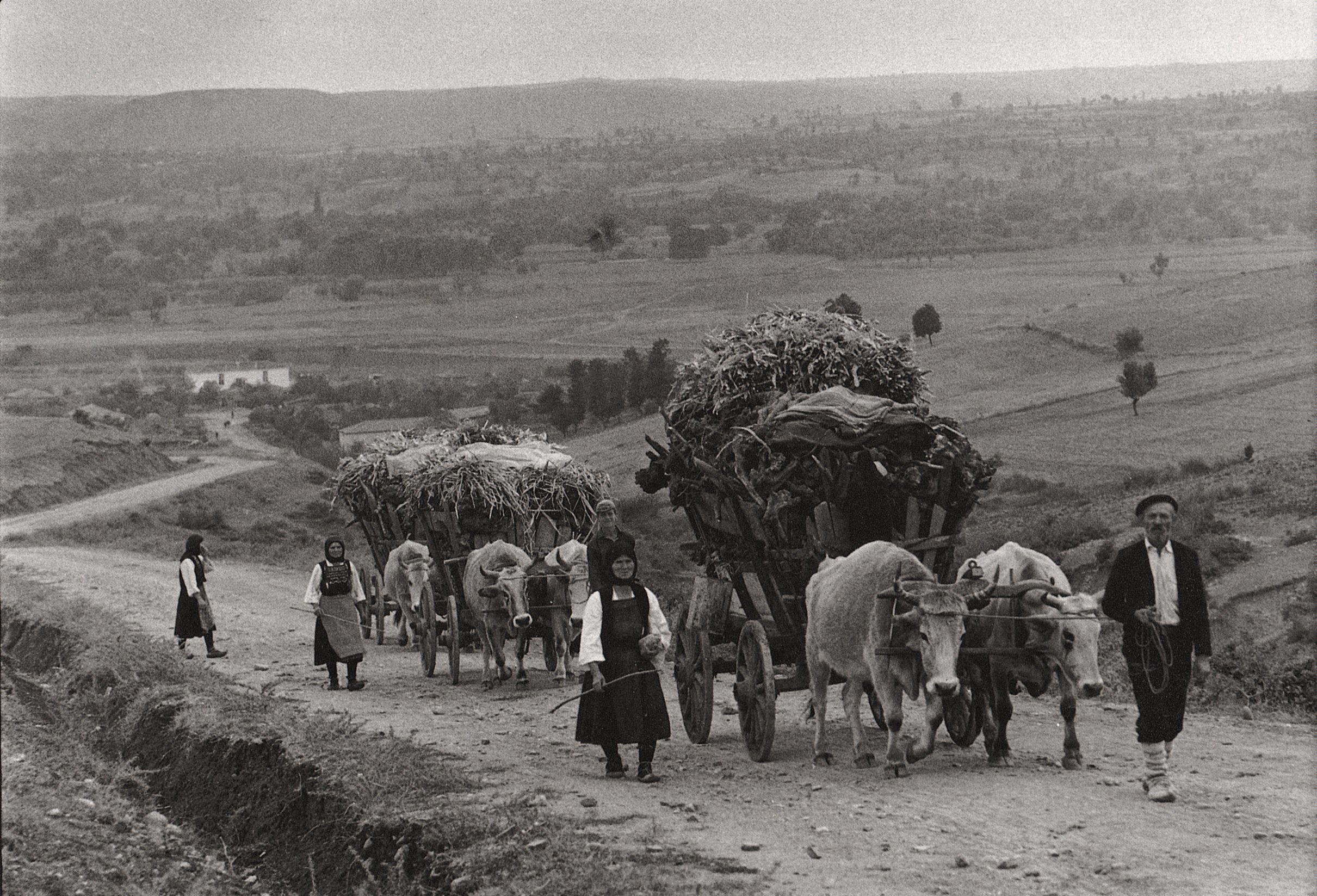 Farmers with ox carts on a road