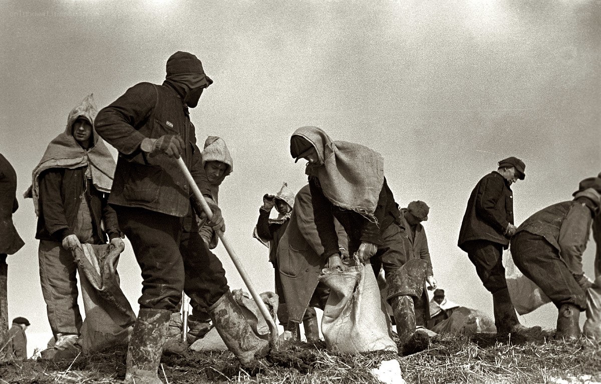 Farmers working in a field