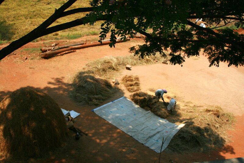 Farmers Working with Hay