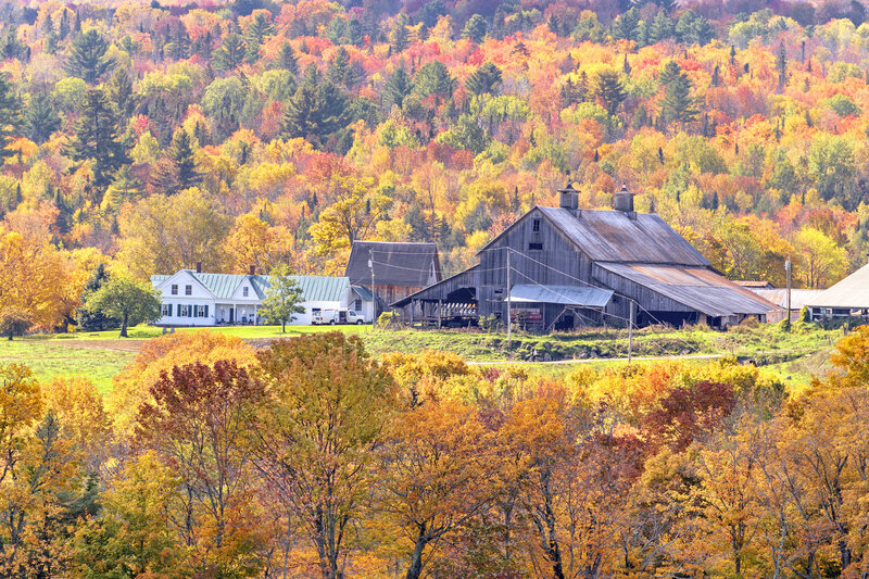 Farmhouse and Barn — Orange
