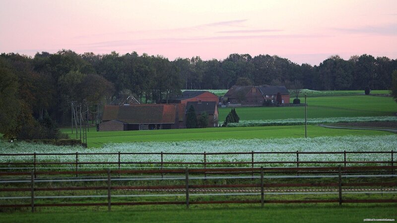 Farmhouse at Dusk — Green, Serene, Sunset