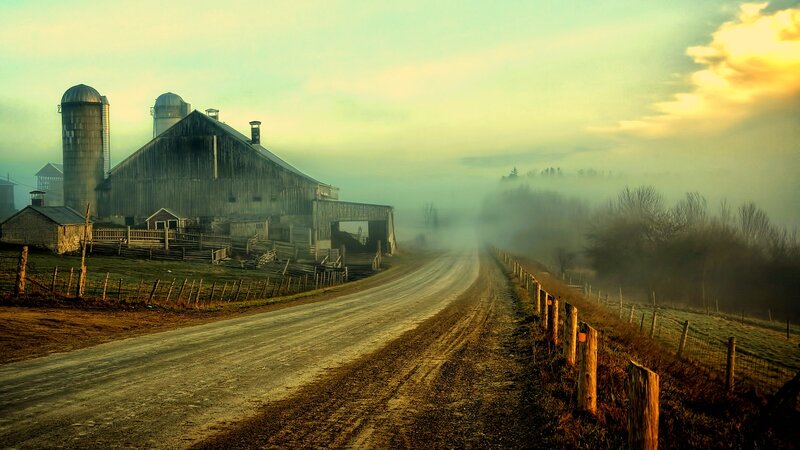 Farmhouse at Sunrise — Green