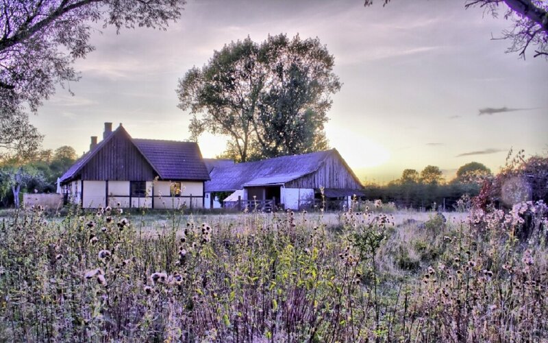 Farmhouse at Sunset — Purple