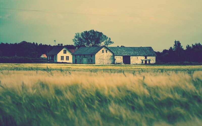 Farmhouse in a wheat field