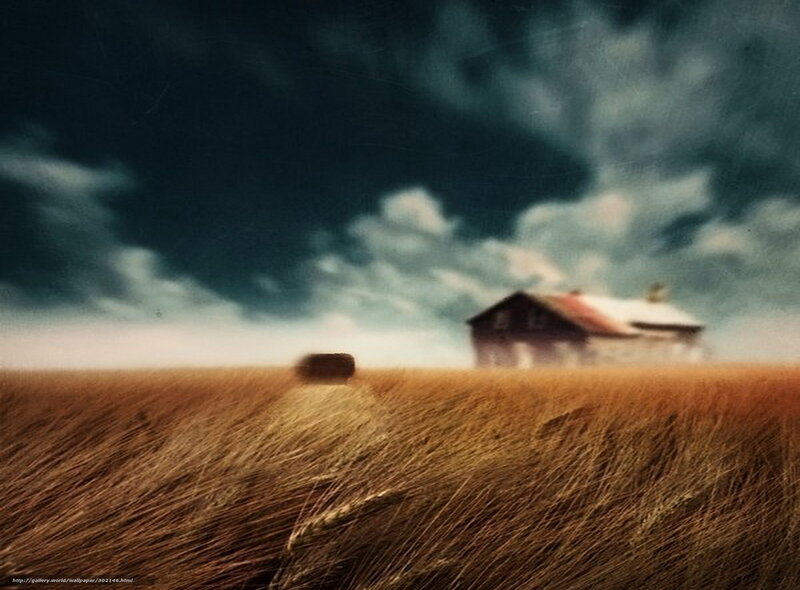 Farmhouse in a wheat field