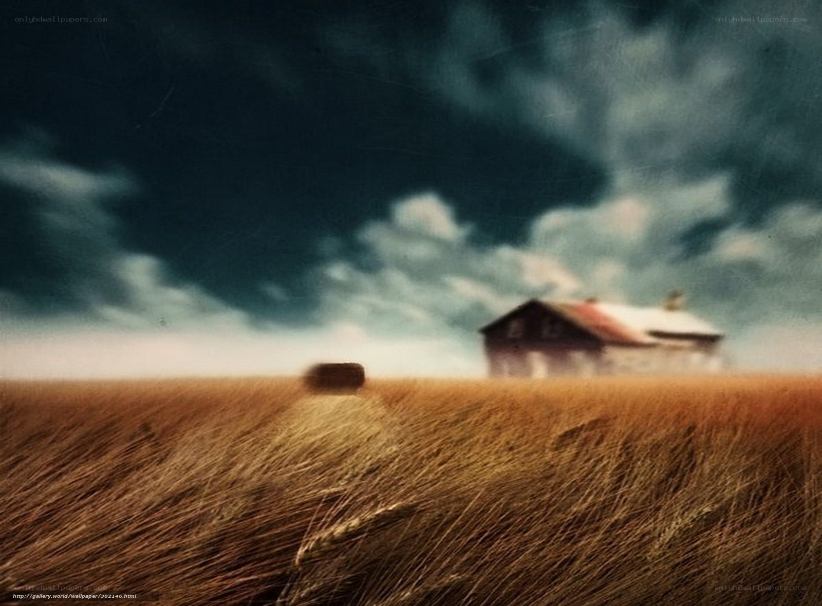 Farmhouse in a wheat field