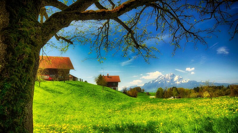 Farmhouse in Alpine Valley